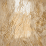 Venetian Plaster